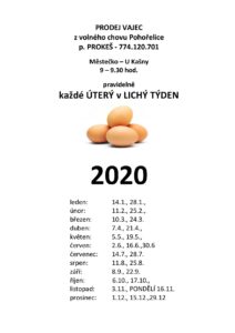 VEJCE_2020_LICHÝ-page-001